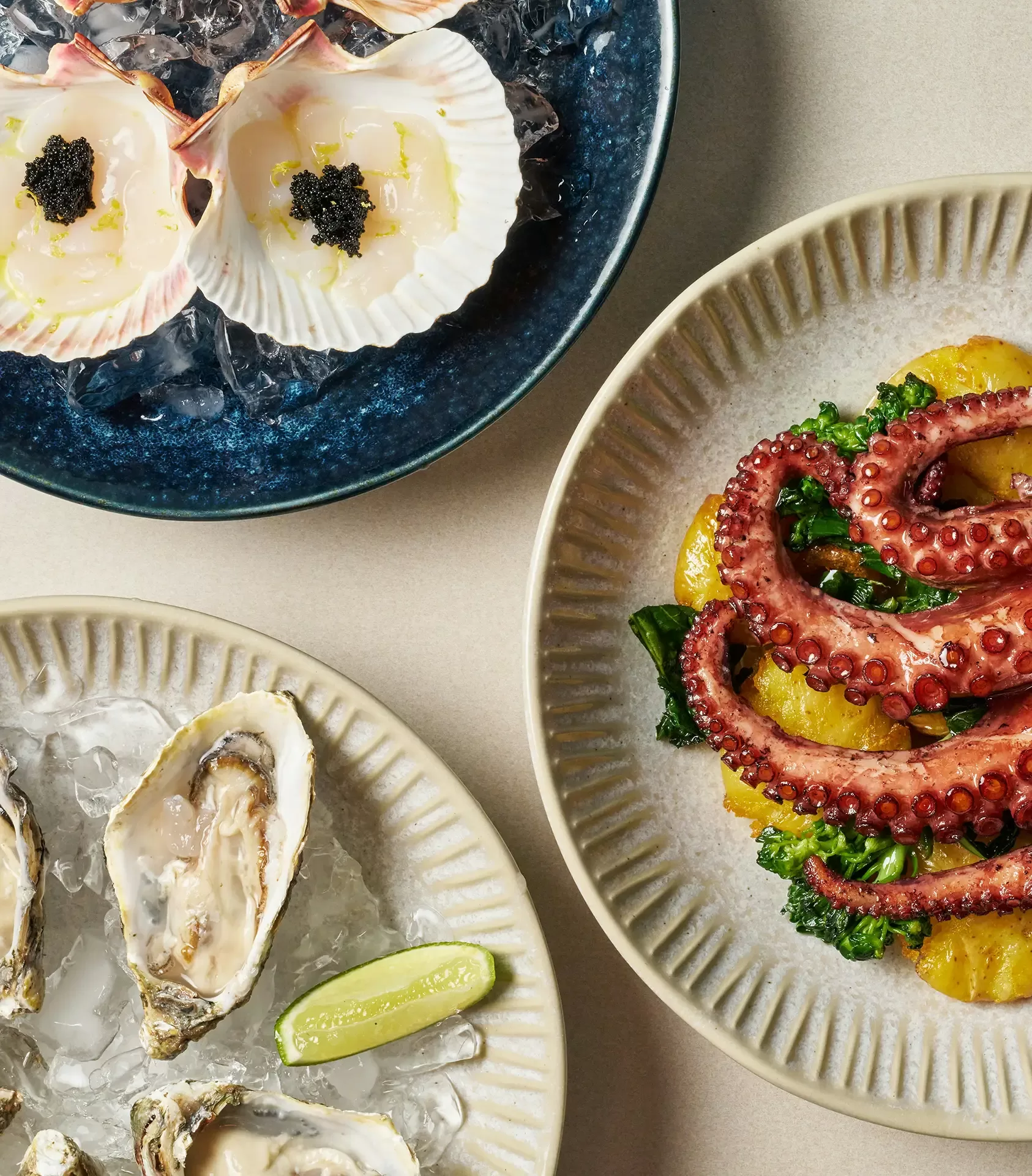 Three dishes are arranged on a table: a plate of fresh oysters with a lemon wedge on ice, scallops on the half shell topped with black caviar on ice, and grilled octopus tentacles on roasted potatoes and greens.