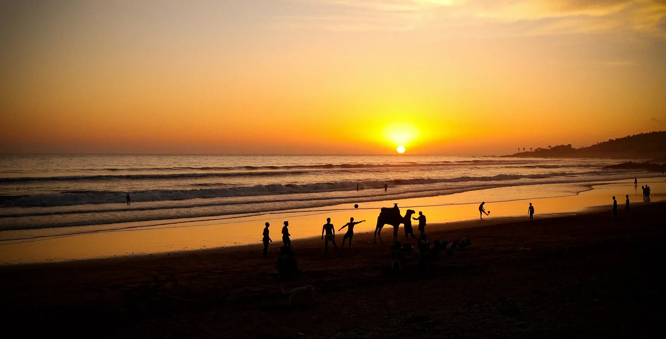 People and camels on te beach with a view of the sunset over the sea.