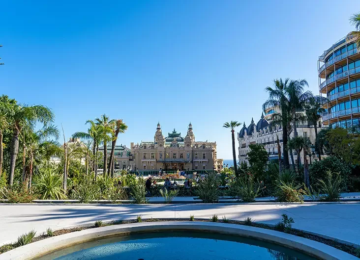 A tall palm tree stands beside a modern building, showcasing a blend of nature and architecture in a sunny environment.