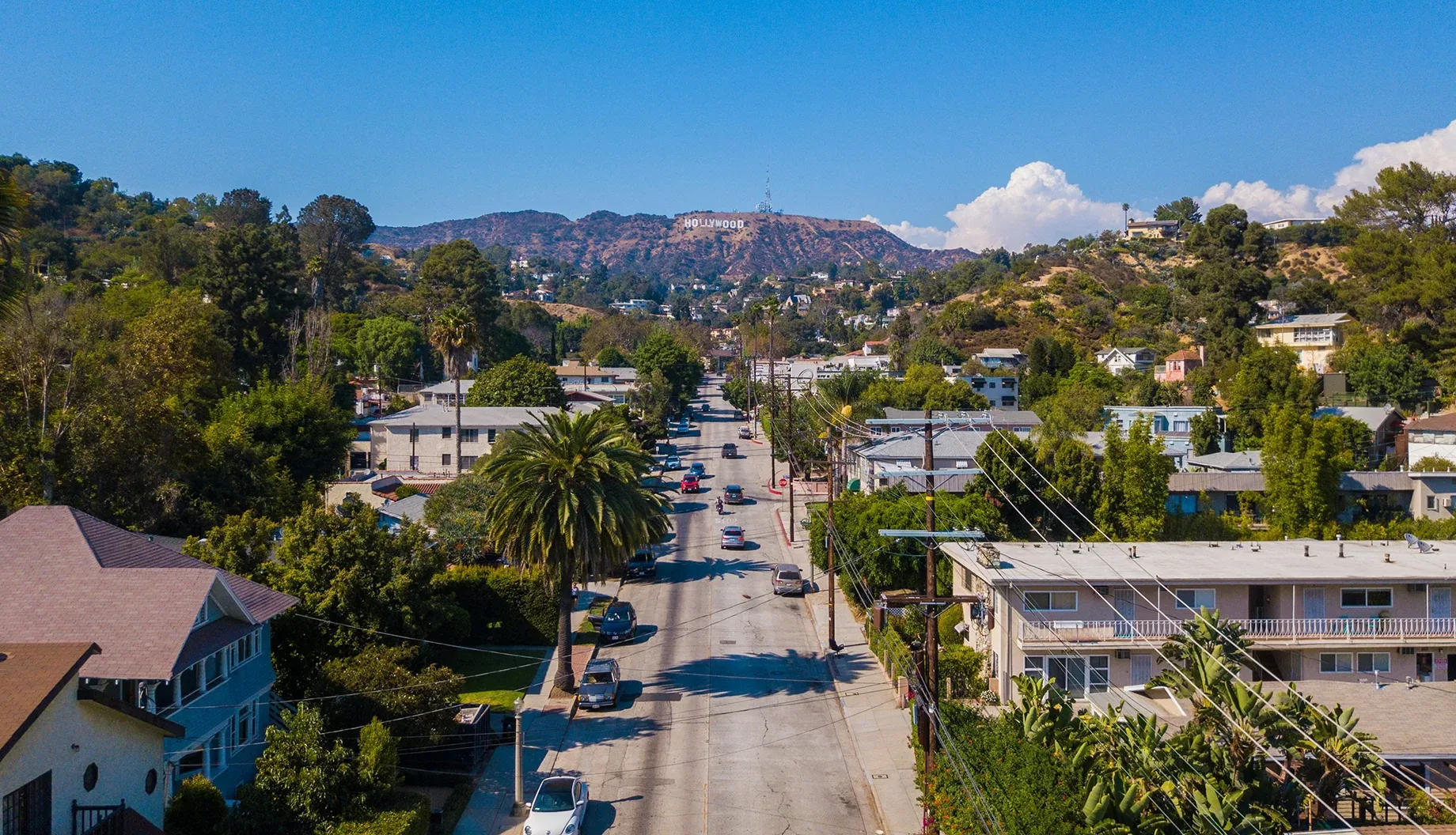 Aerial view of a residential street lined with palm trees in Los Angeles. The iconic Hollywood sign is visible in the distance on a hilly landscape under a clear blue sky.