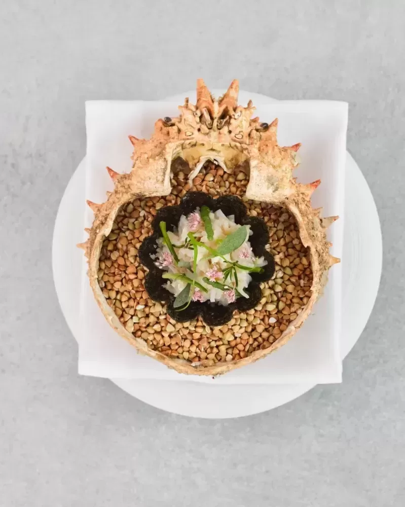 Authentic garnished seafood in a bed of lentils served inside of a crab shell.