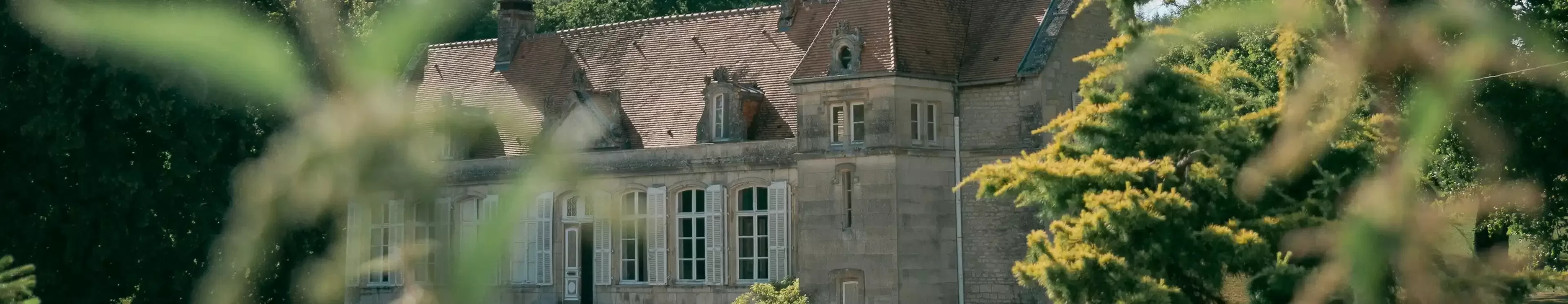 A large house surrounded by a spacious garden, nestled in the heart of a lush forest.