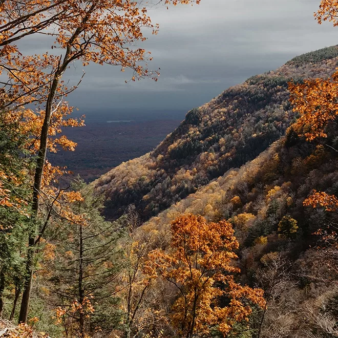 A scenic view from Overlook Mountain Trail reveals a forested mountain during autumn, with trees displaying vibrant orange, yellow, and green foliage. The sky is overcast, casting a soft, diffused light over the landscape.