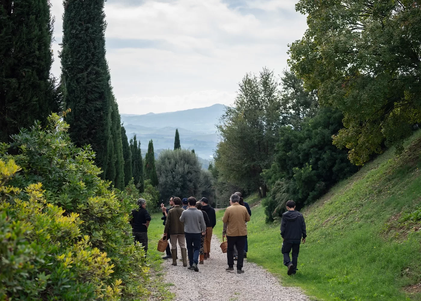 A group of people walking on a gravel path through a countryside landscape, surrounded by green trees and bushes. They carry bags and walk towards distant mountains under a cloudy sky.