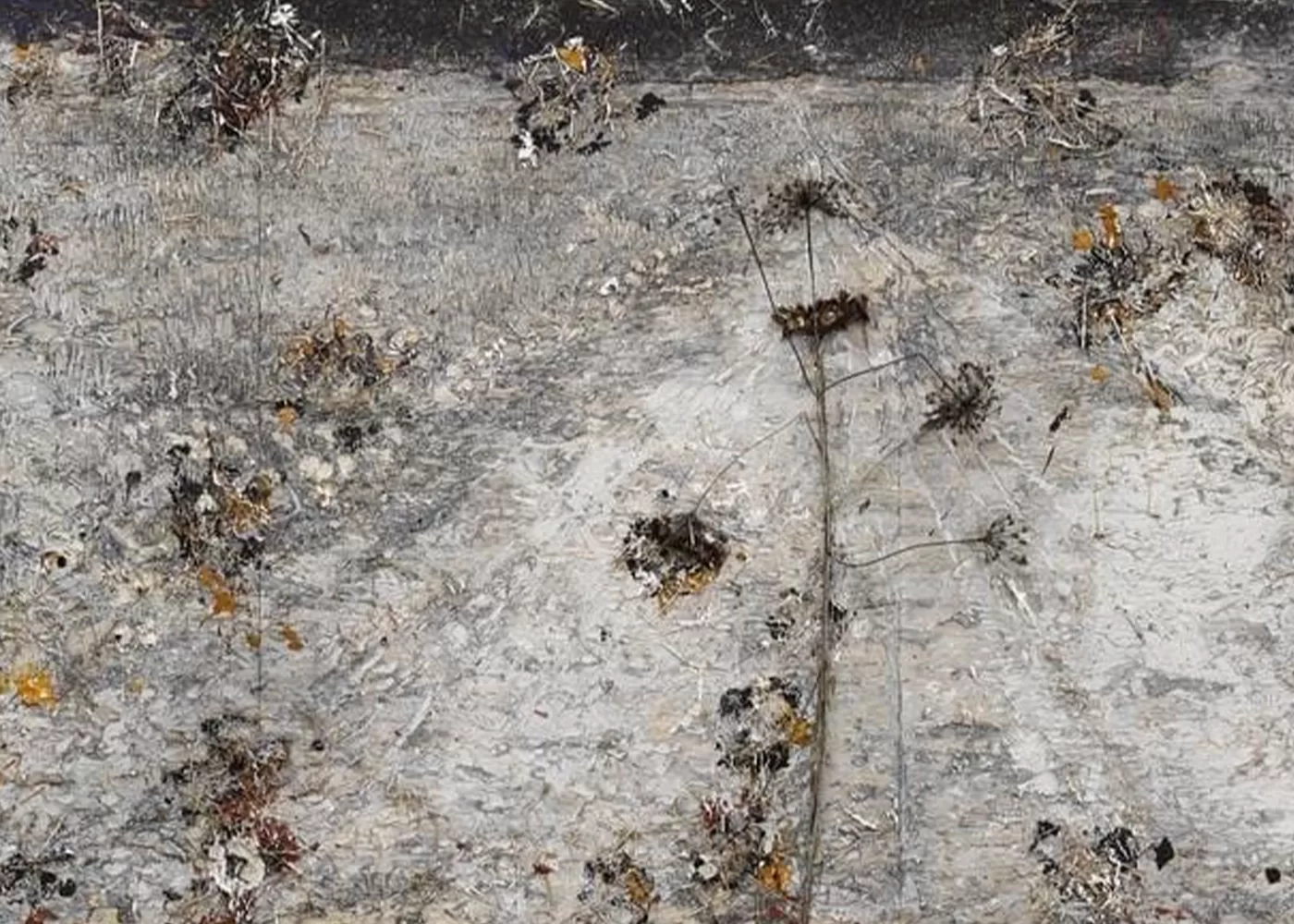 Anselm Kiefer, Schierlingsbecher, 2019 © Anselm Kiefer. Photo © White Cube