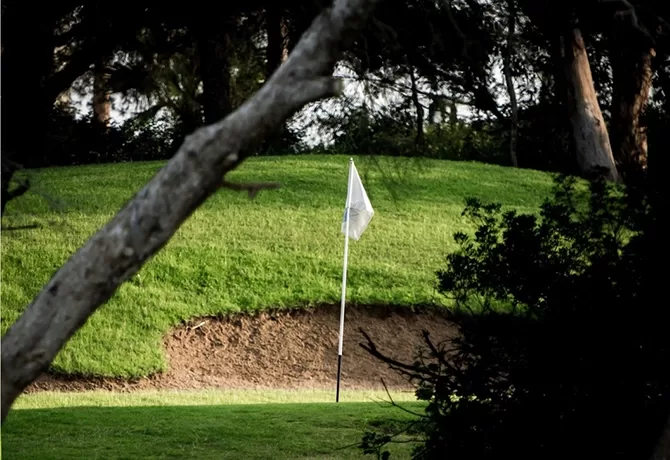 A golf flag on a grassy course surrounded by trees. The flagstick is near a sand trap, and sunlight creates contrasting shadows on the green. A large tree branch frames the foreground in in Temuda Bay.