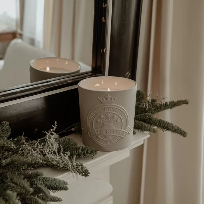 Purnima Fragrances Ambar Ceramic Candle on a shelf surrounded by foliage.