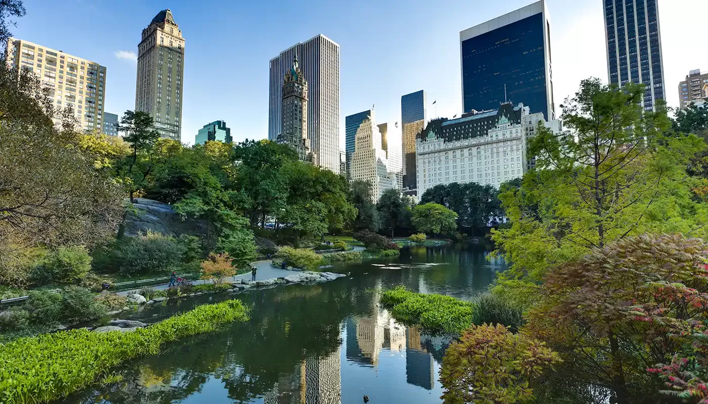 A perfect summer day in NYC